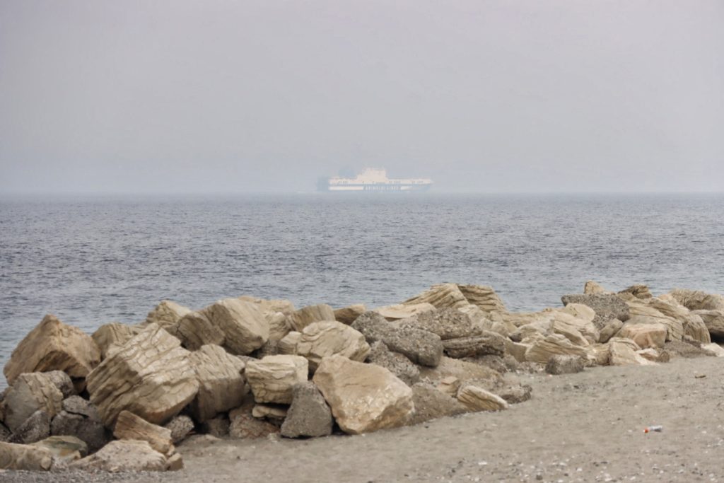 lupa reggio calabria