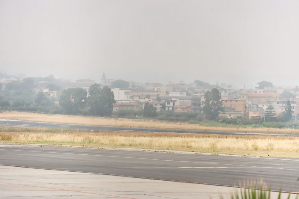 lupa reggio calabria