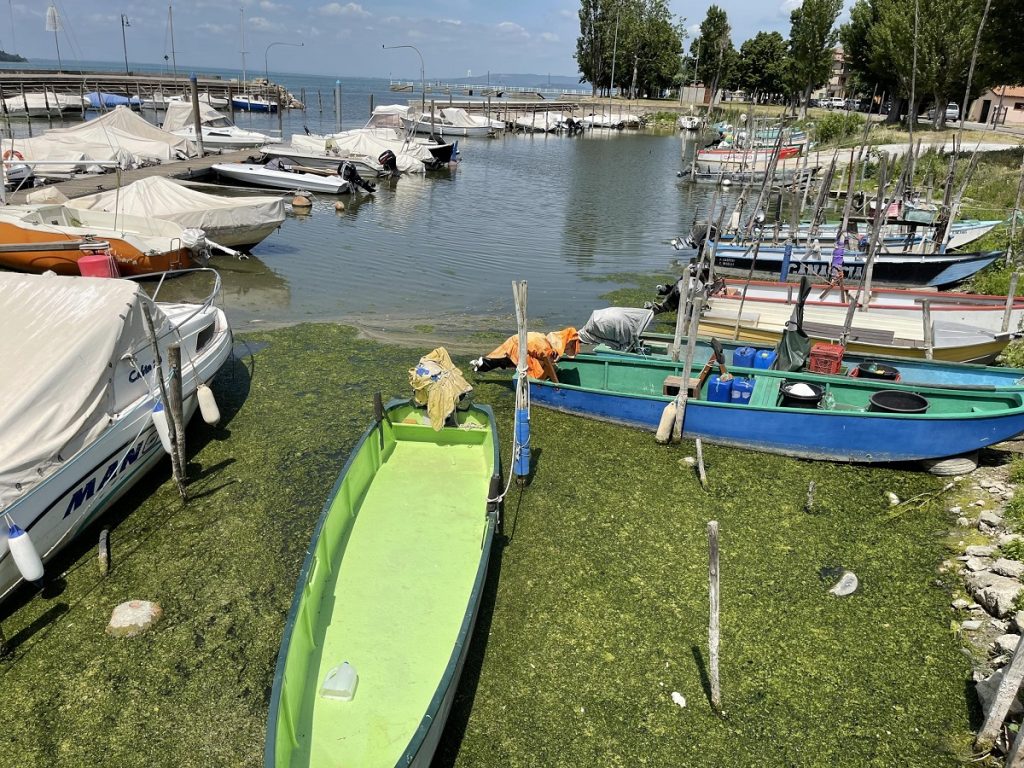 trasimeno