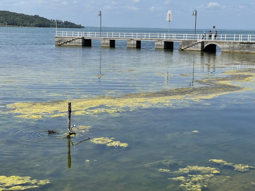 trasimeno