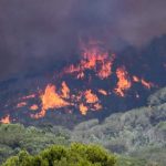 Vastissimo incendio nell’Ennese: situazione critica tra Piazza Armerina e Aidone | FOTO