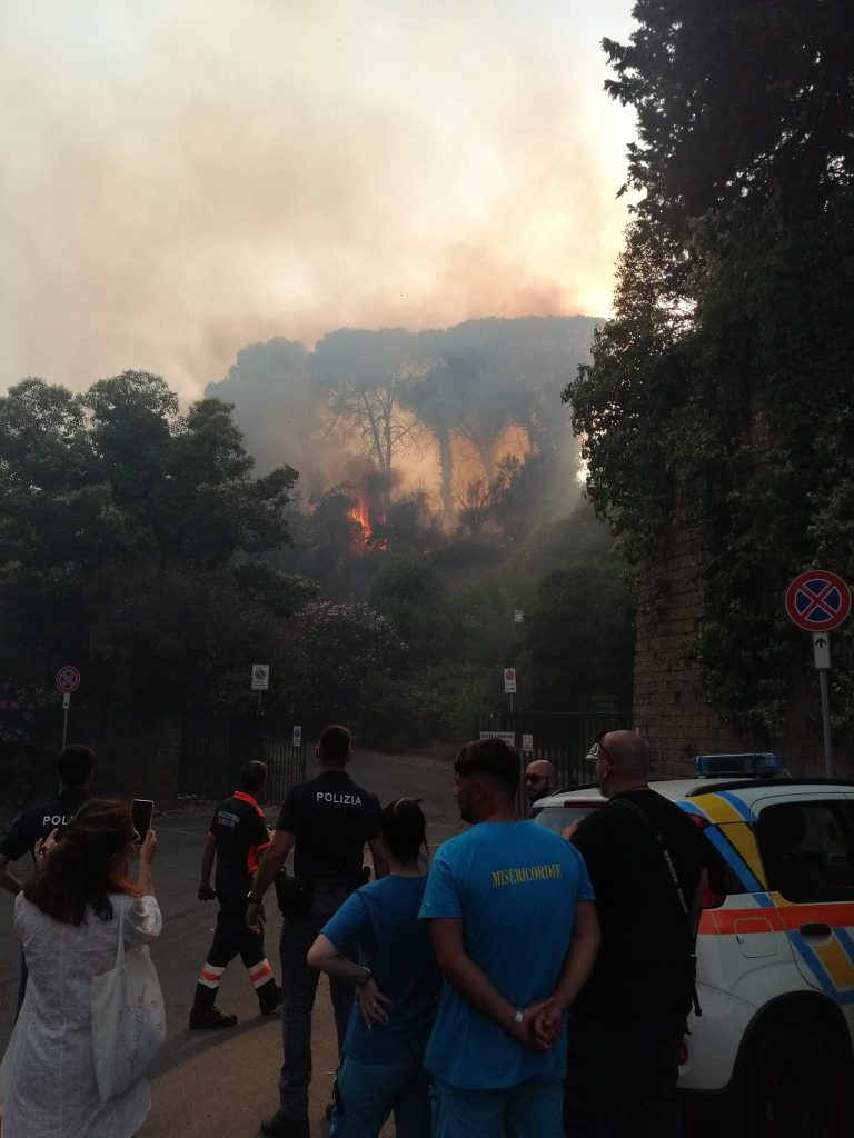 incendio pineta sacchetti roma