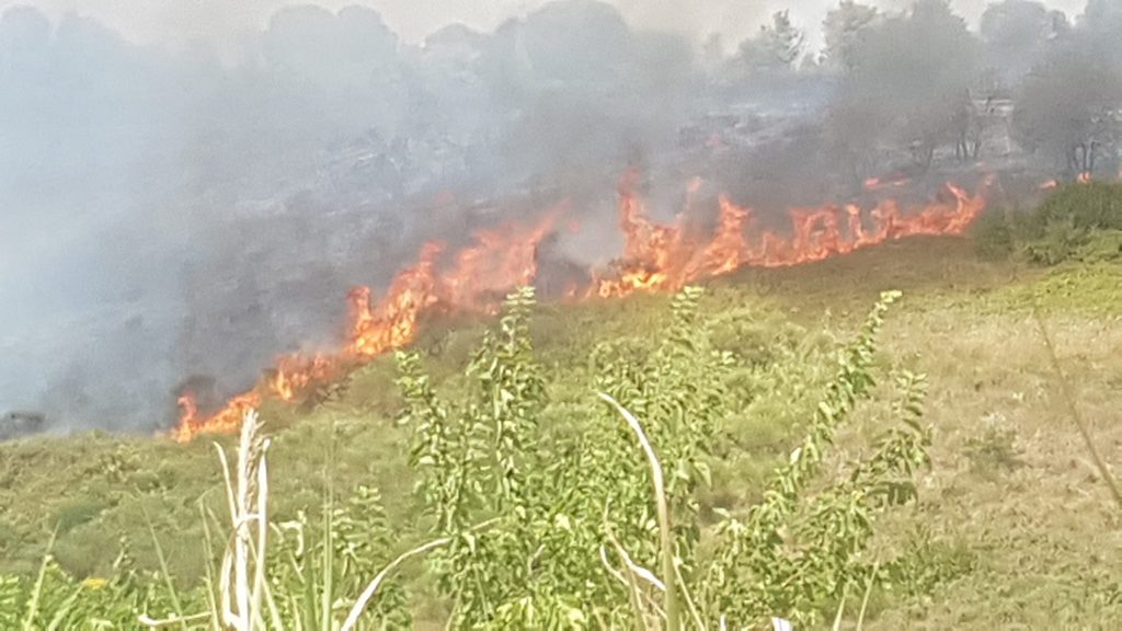 incendio pineta sacchetti roma