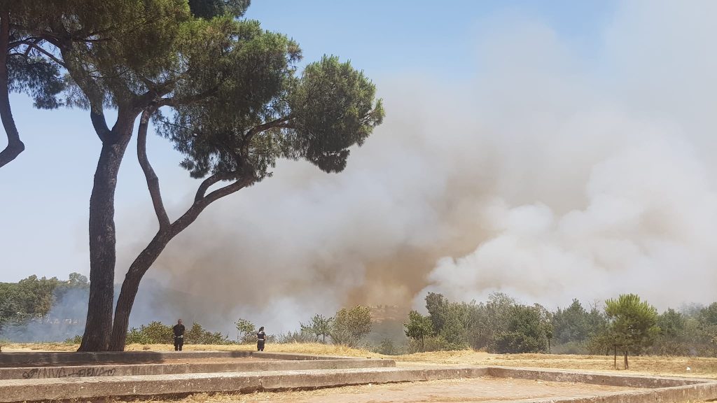 incendio pineta sacchetti roma