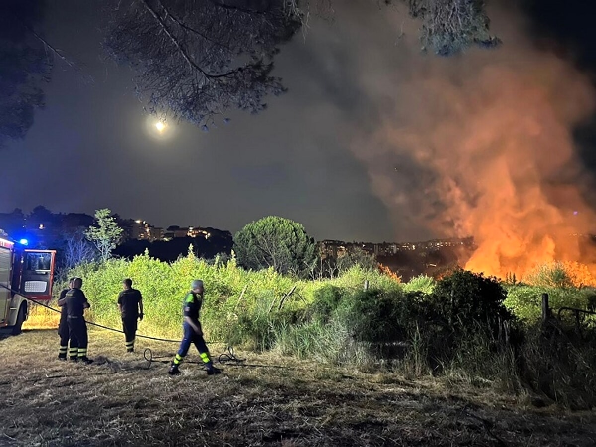 incendio pineto