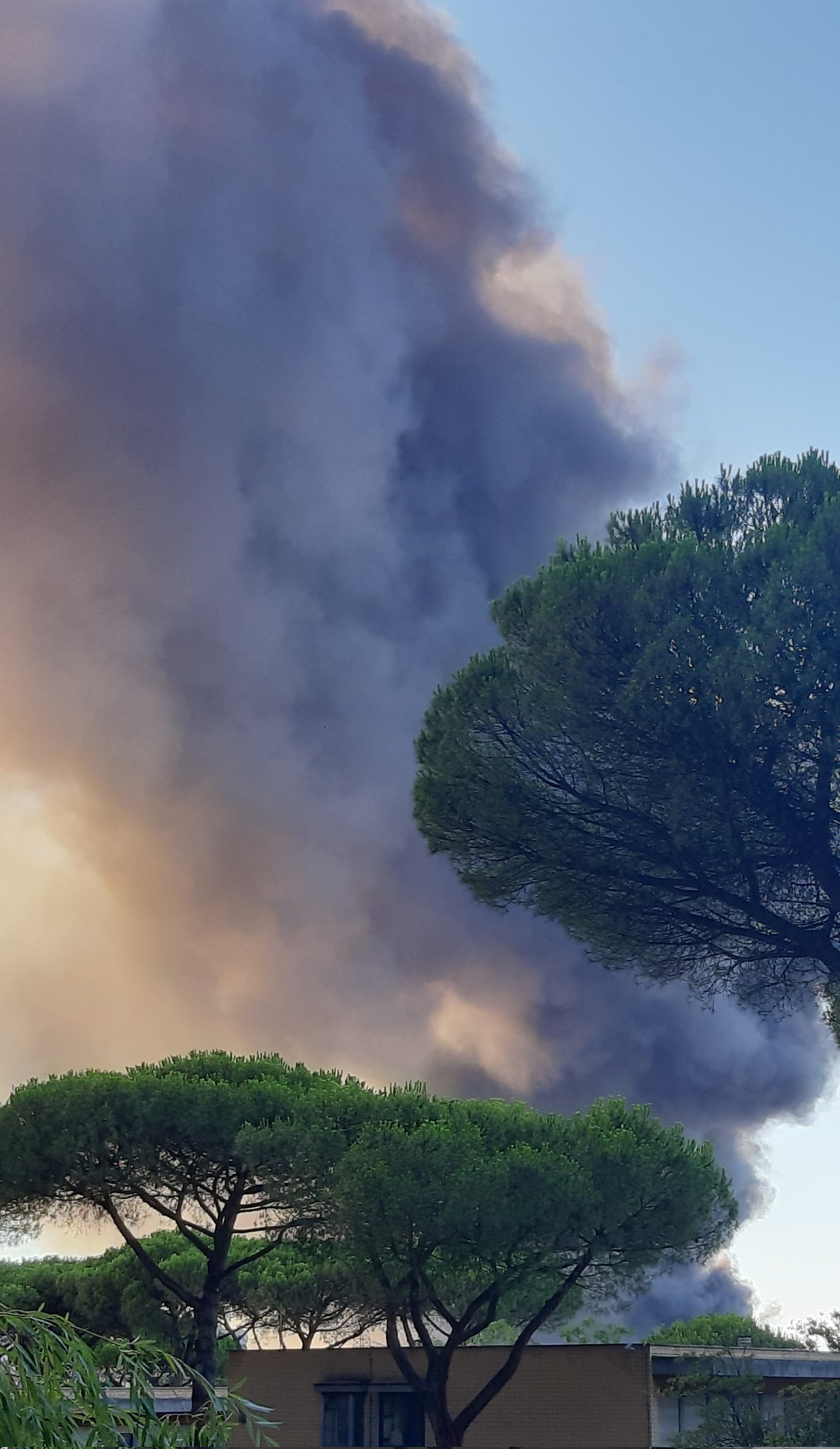 incendio roma