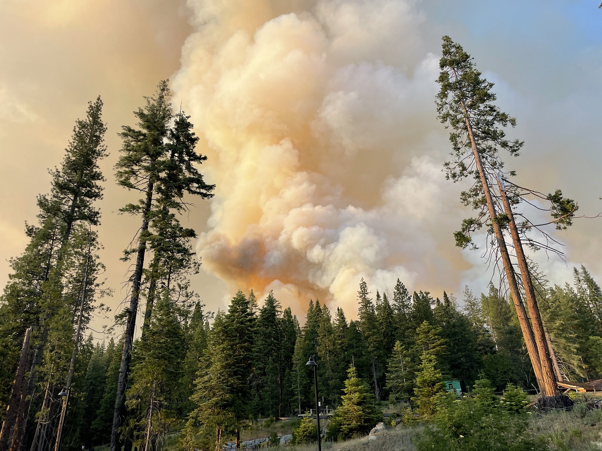 incendio yosemite