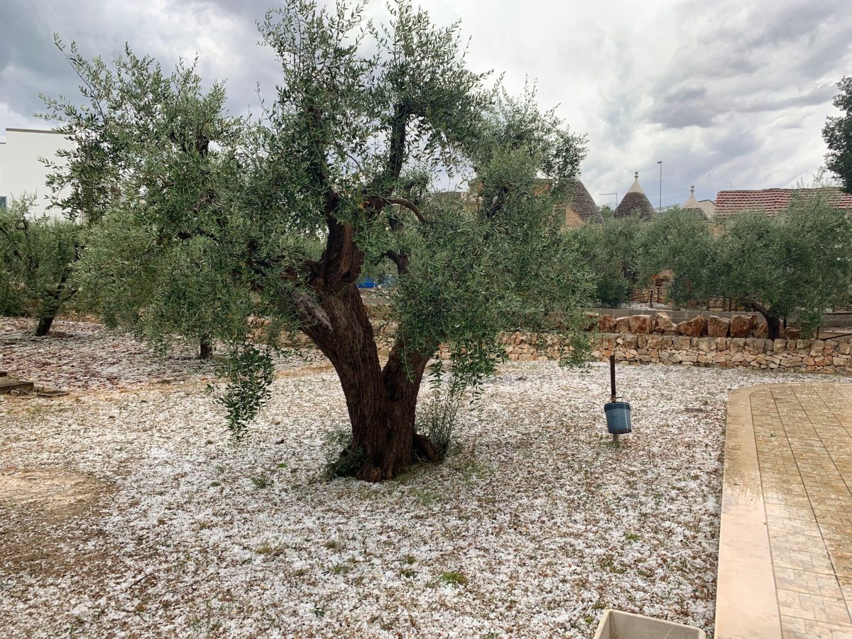 maltempo grandine locorotondo puglia