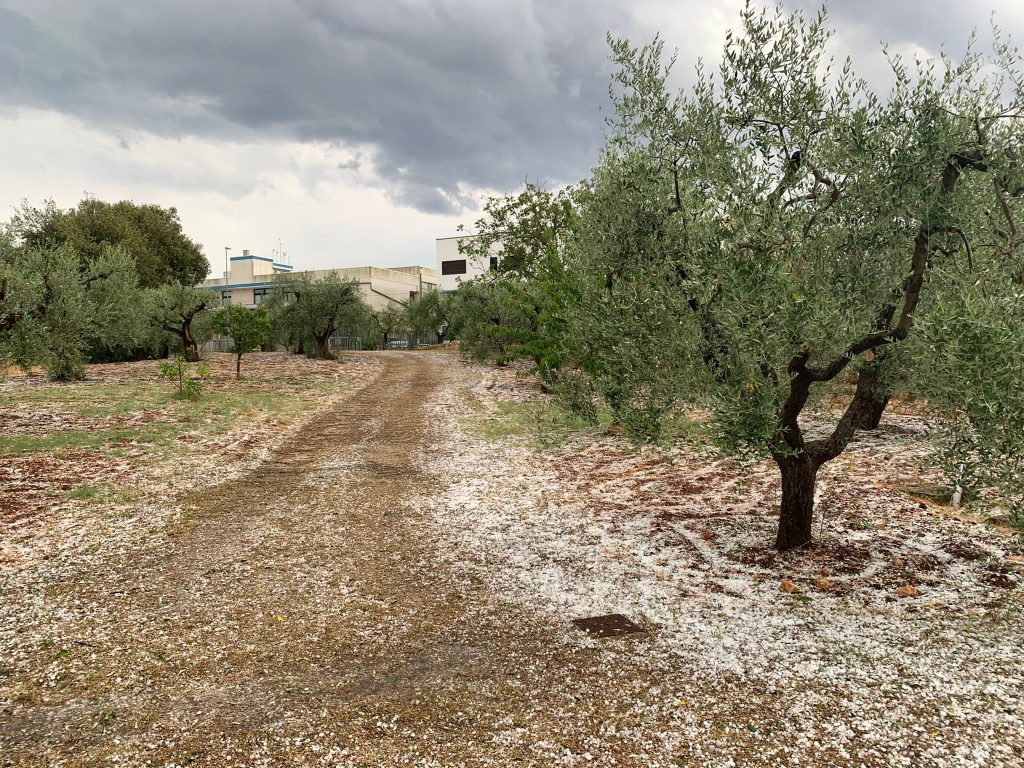 maltempo grandine locorotondo puglia