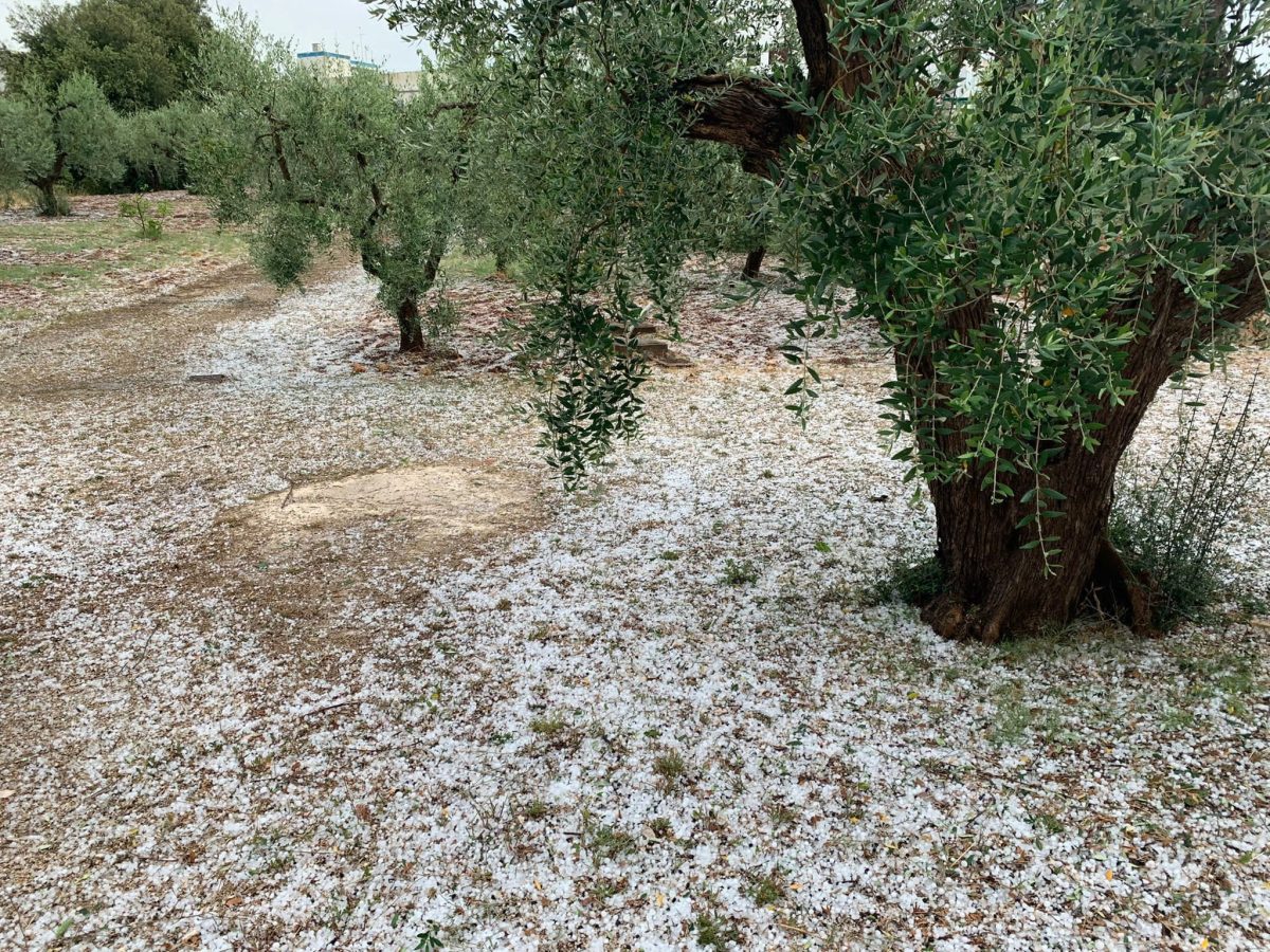 maltempo grandine locorotondo puglia