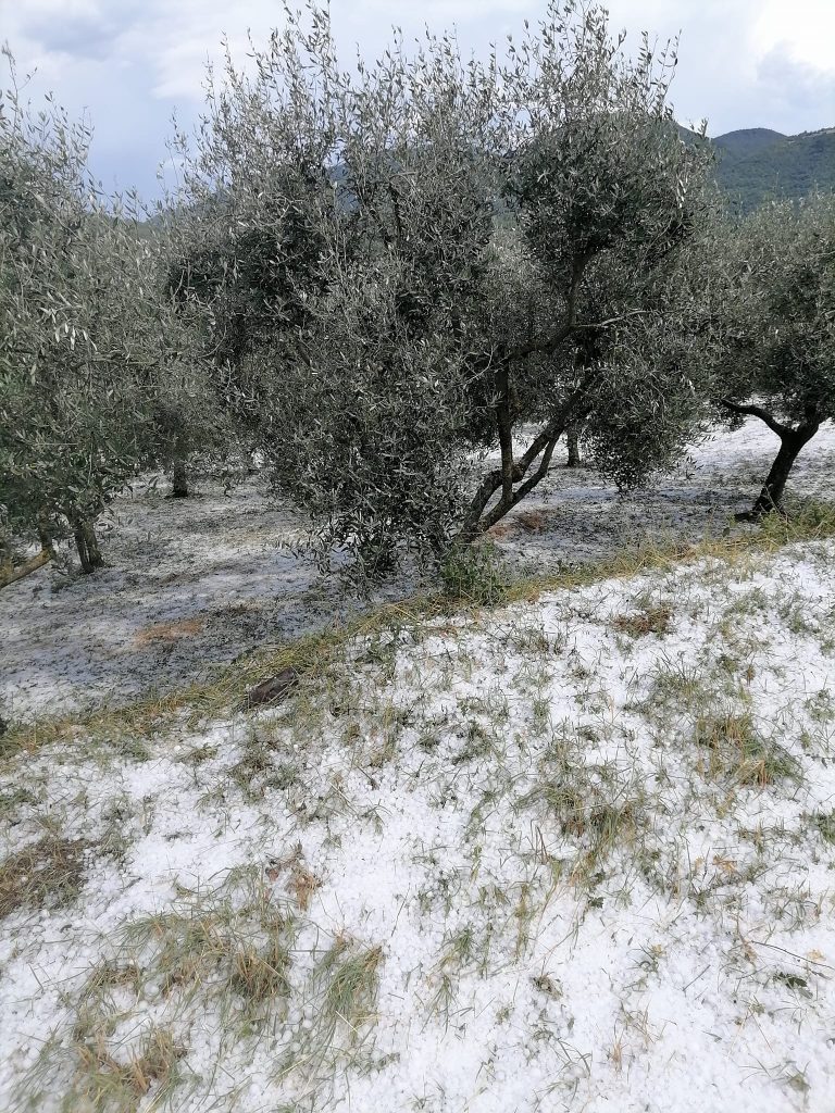 maltempo grandine longano molise