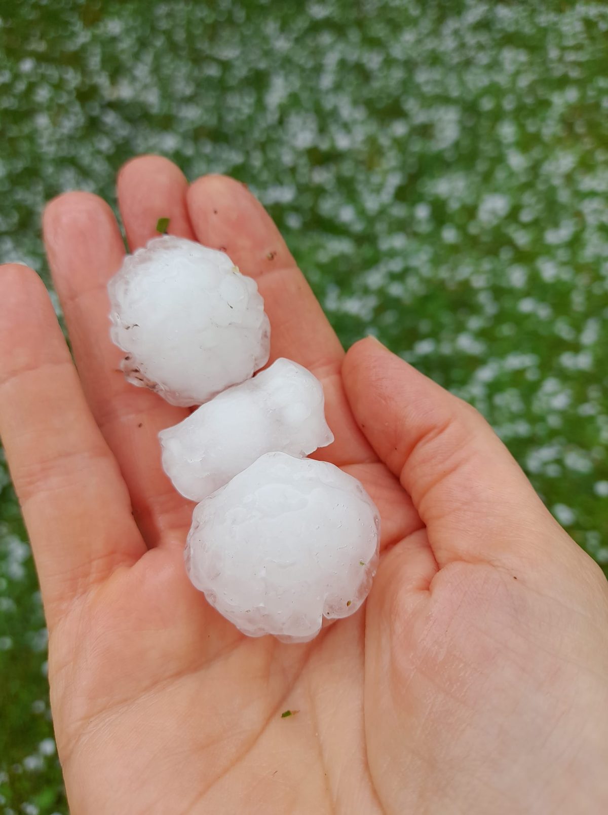 maltempo grandine tezze sul brenta veneto