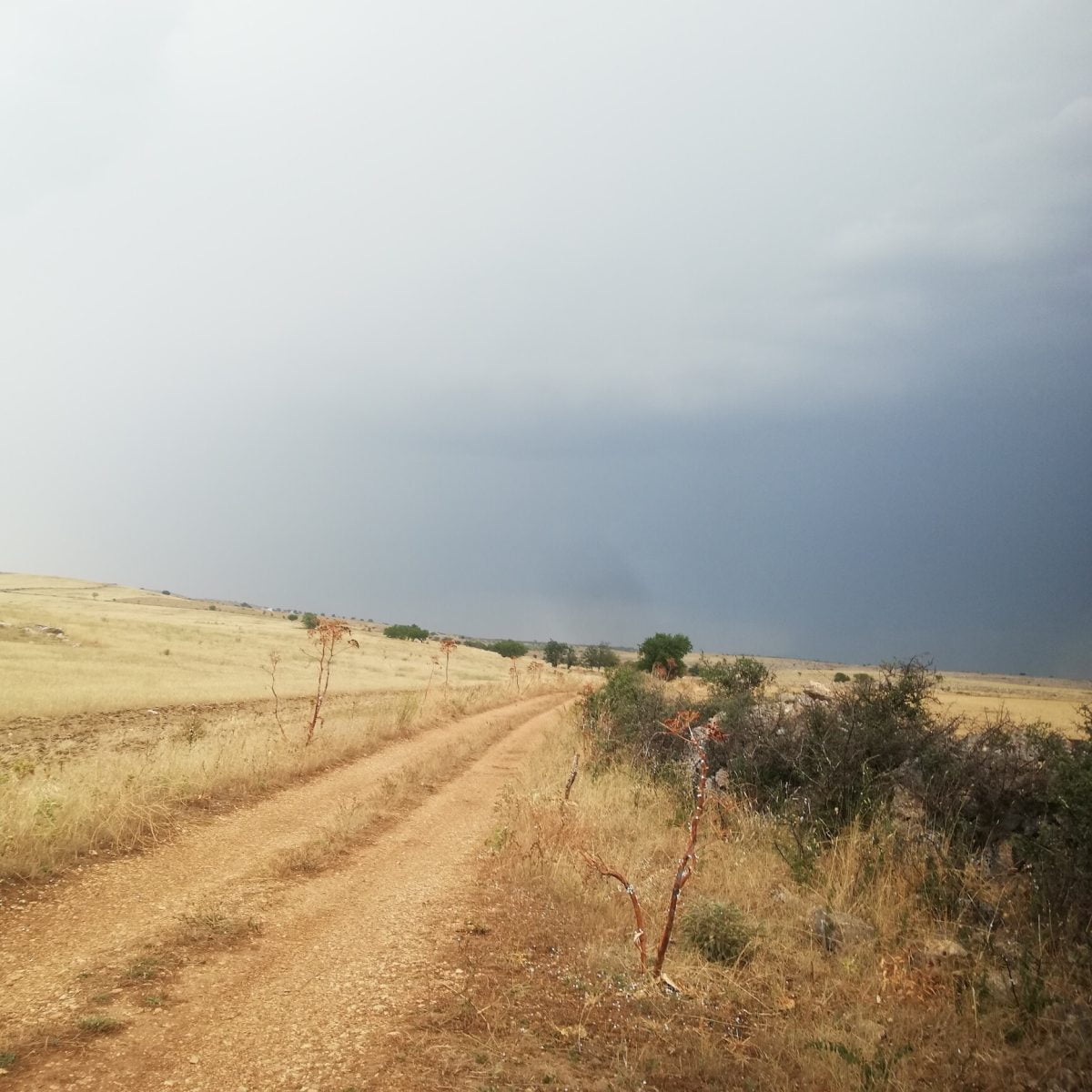 maltempo puglia