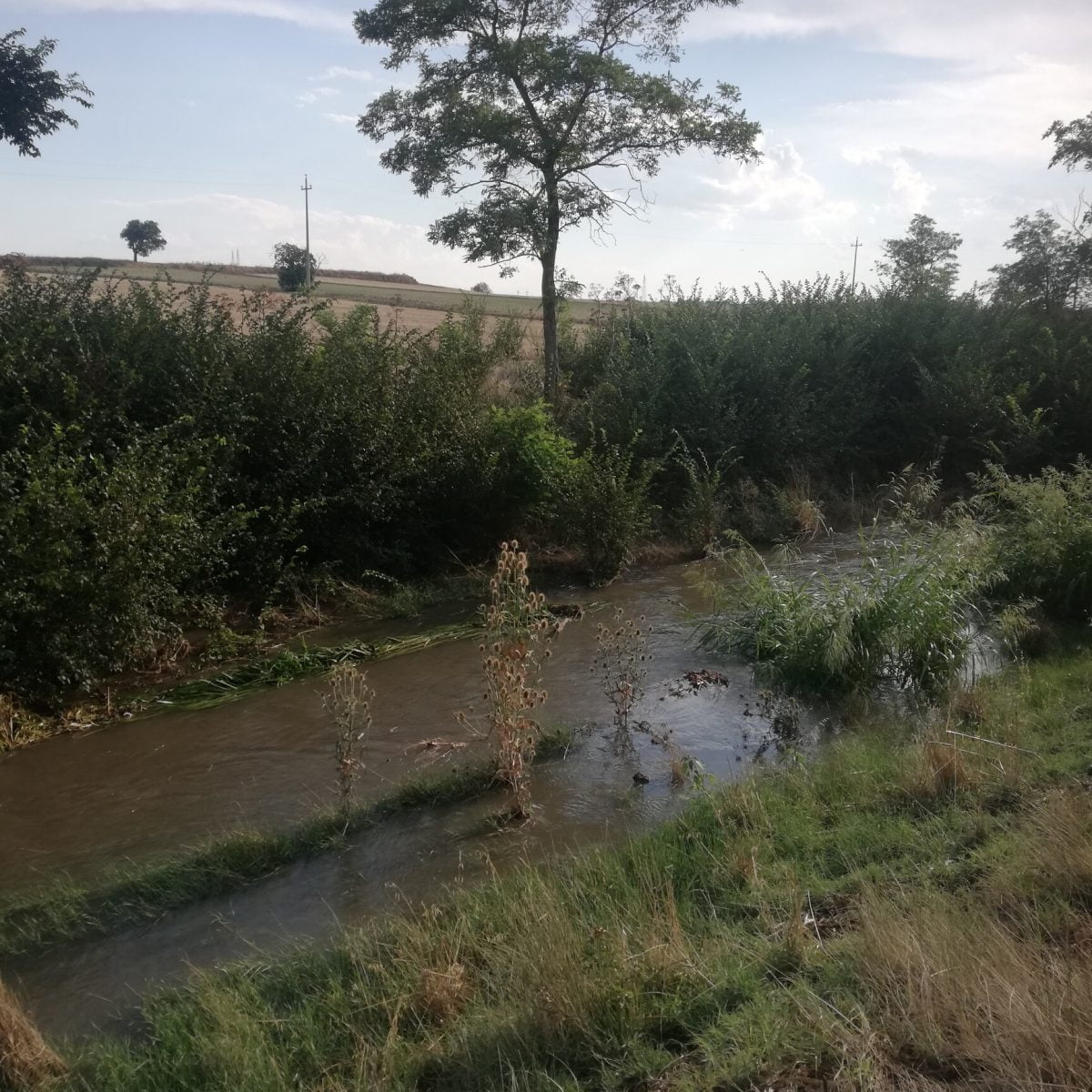 maltempo puglia