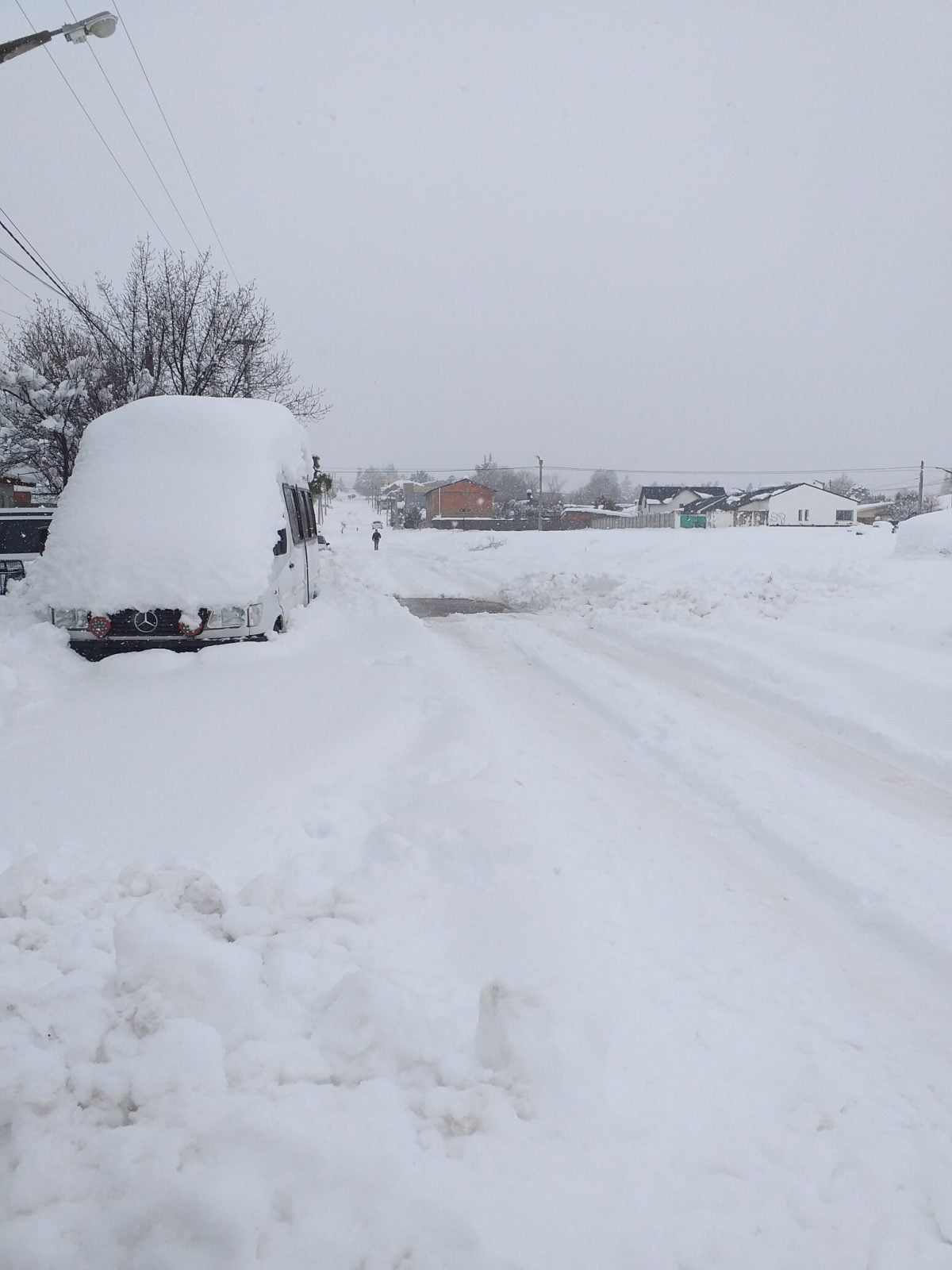 neve argentina