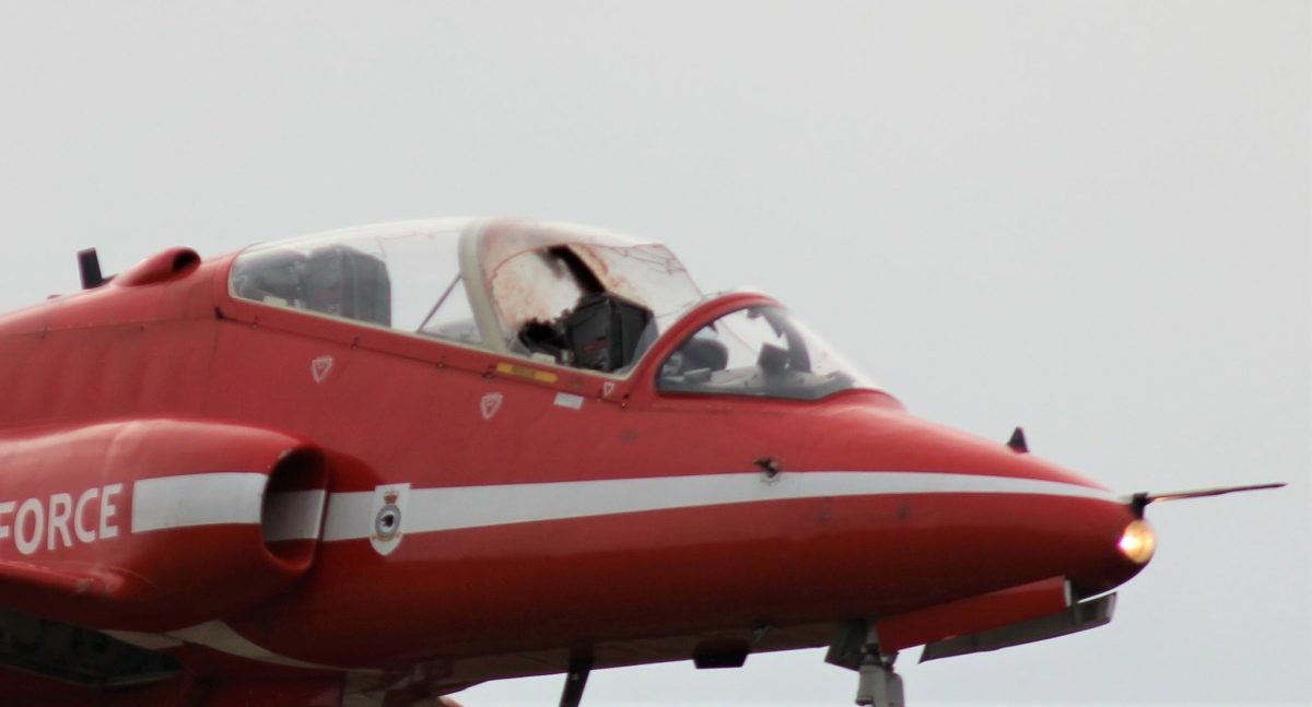 bird strike Red Arrows