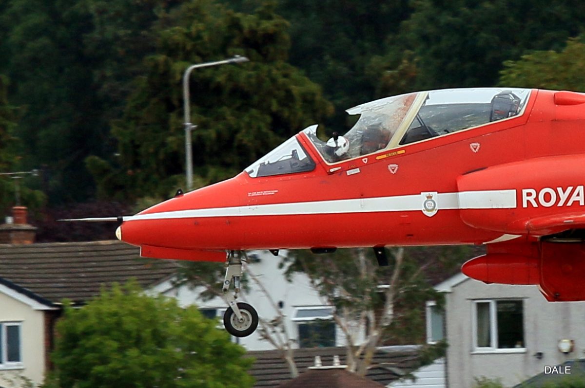 bird strike Red Arrows