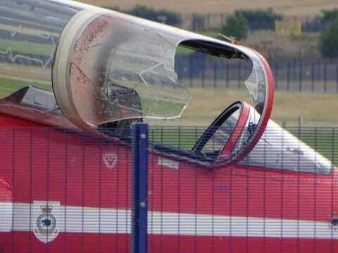 bird strike Red Arrows