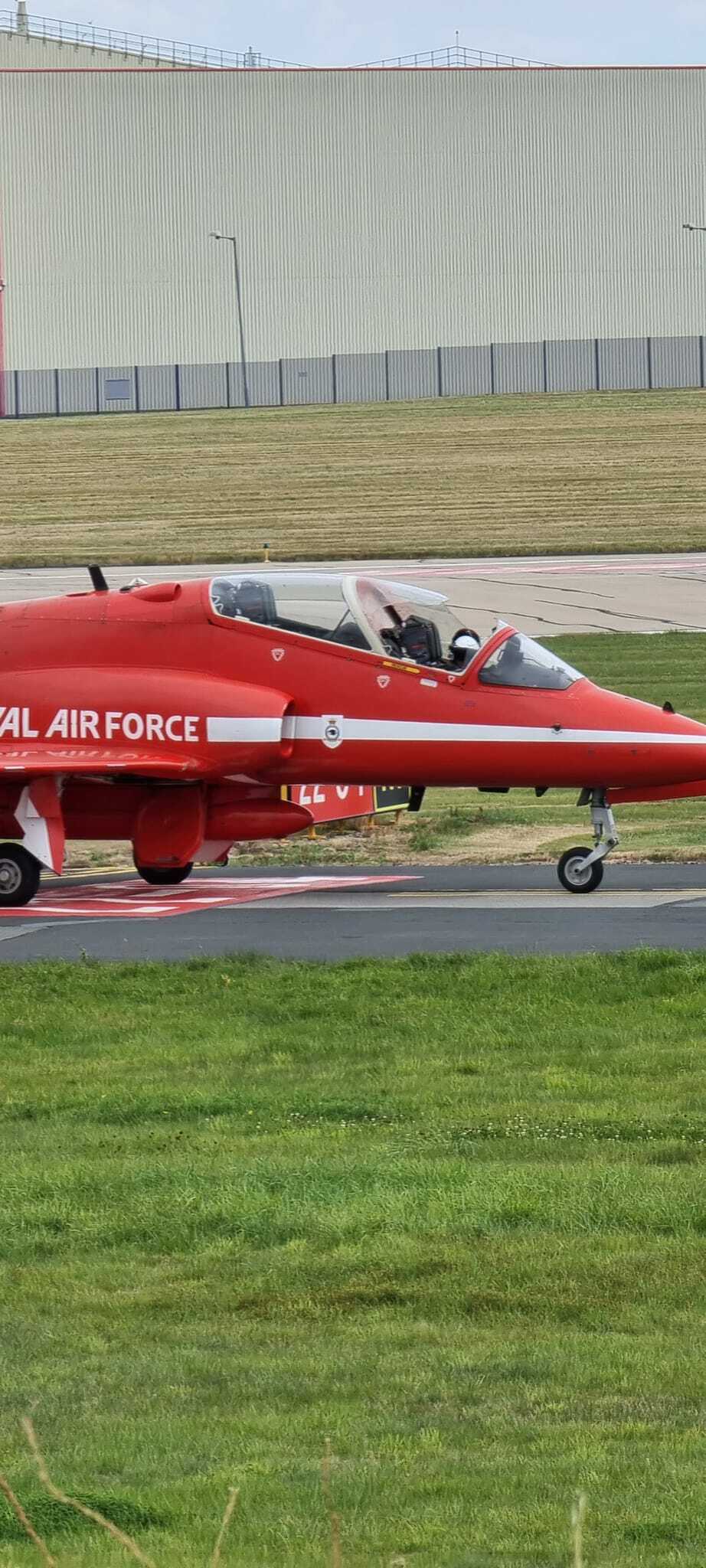 bird strike Red Arrows