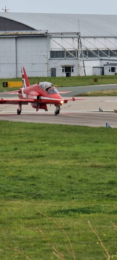 bird strike Red Arrows