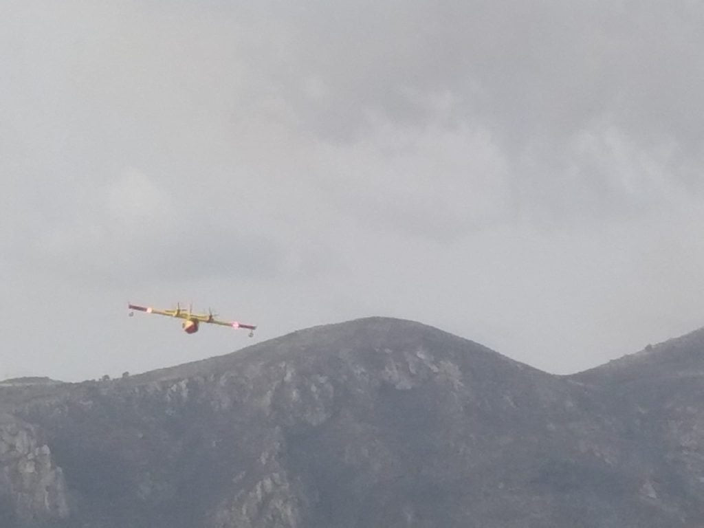 incendi palermo sicilia