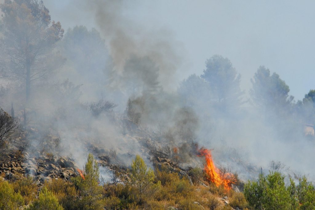 incendi spagna