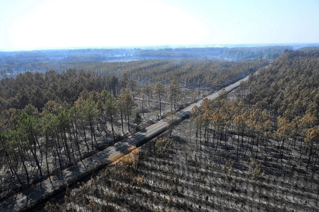 incendio francia