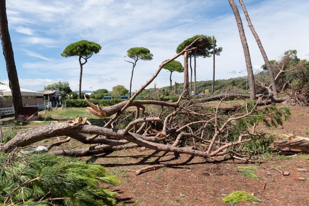 maltempo massa toscana