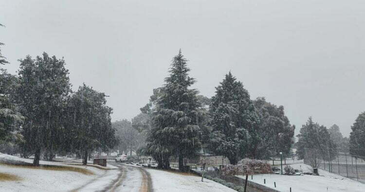 neve sudafrica