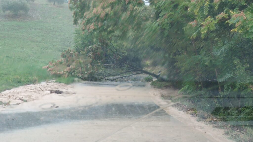 alluvione cantiano marche