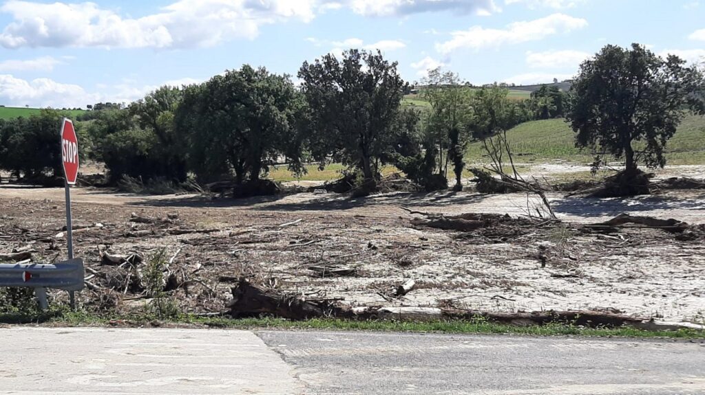 alluvione marche