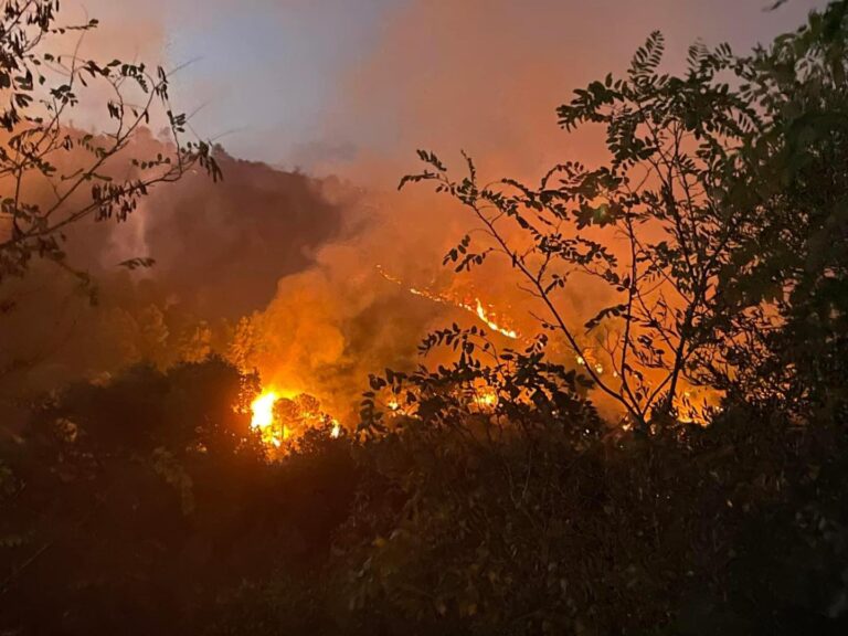 incendio calatafimi sicilia