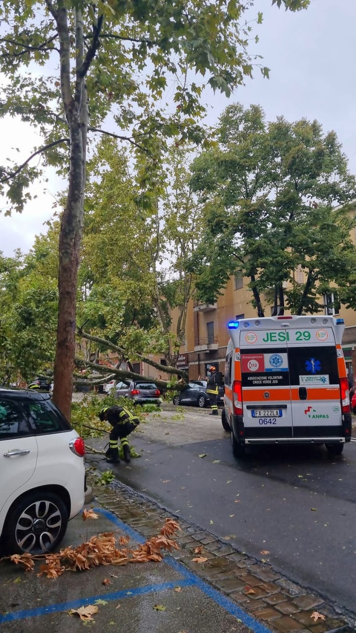 maltempo jesi albero su auto