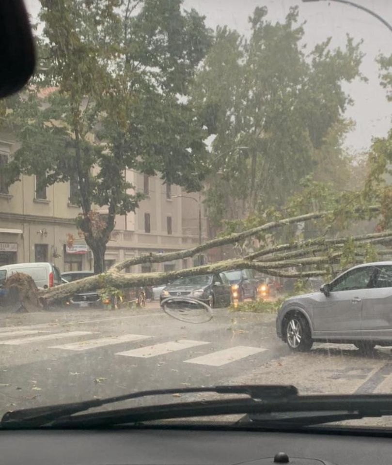 maltempo jesi albero su auto