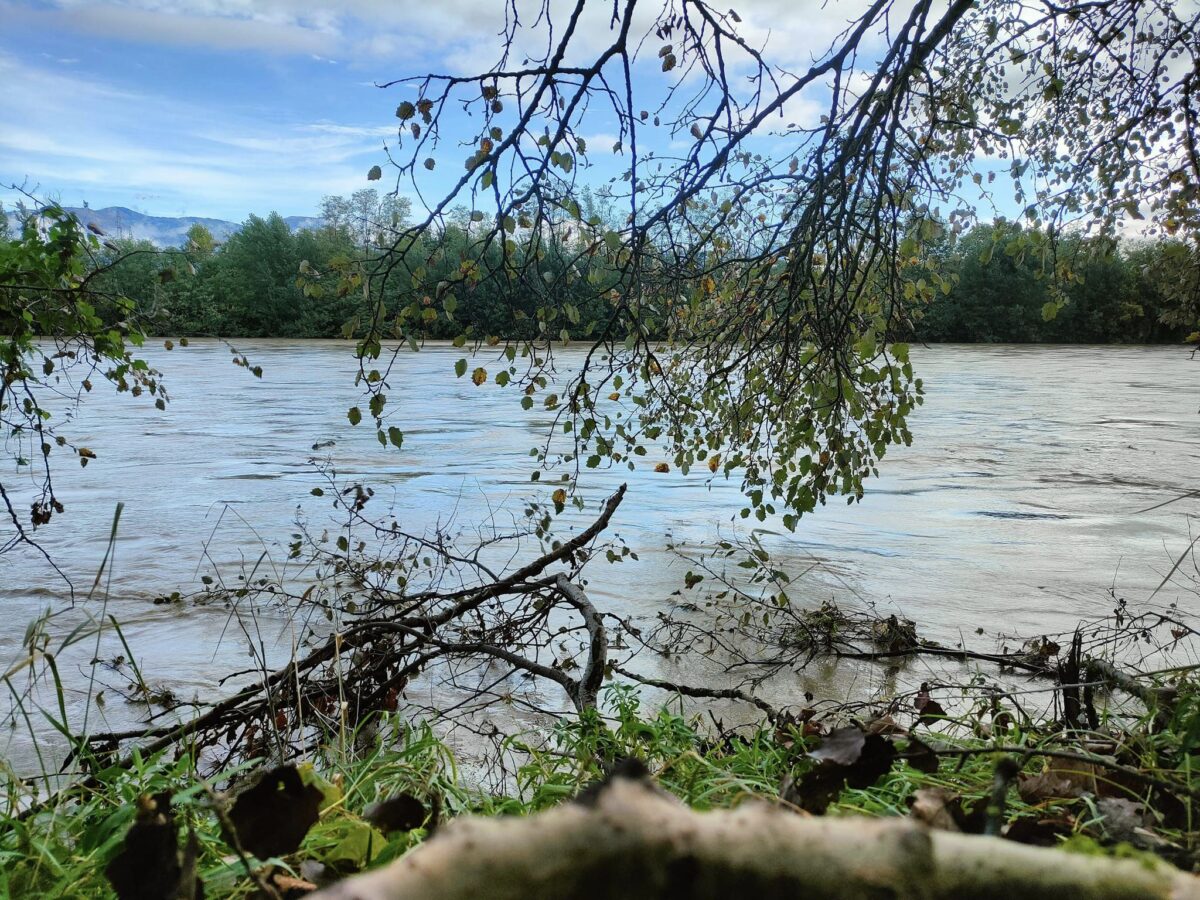 maltempo toscana fiume arno