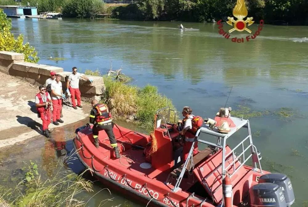 tevere mucca morta