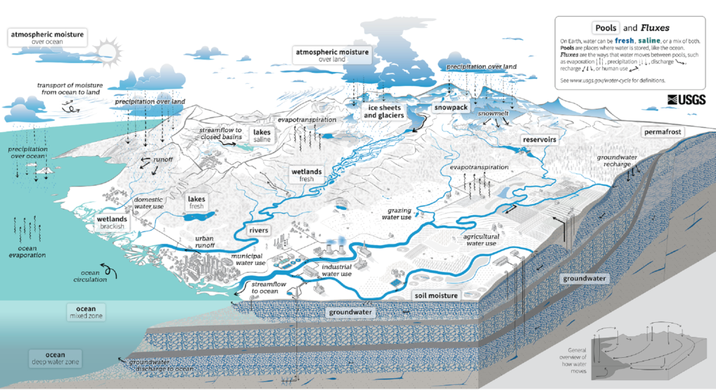 diagramma ciclo acqua uomo