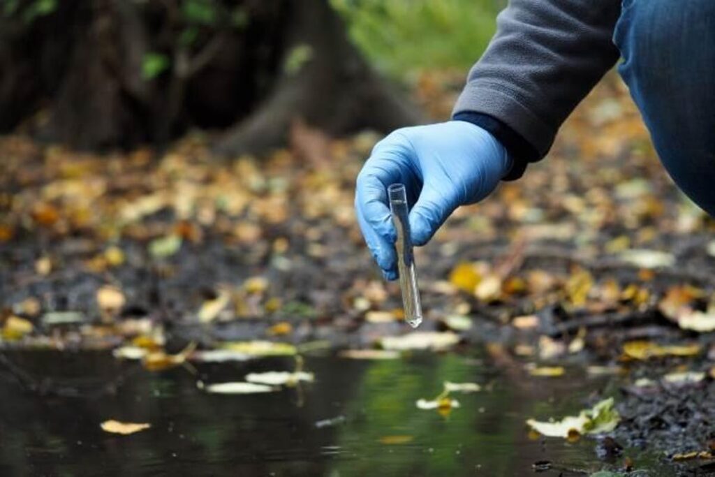 inquinamento da pesticidi