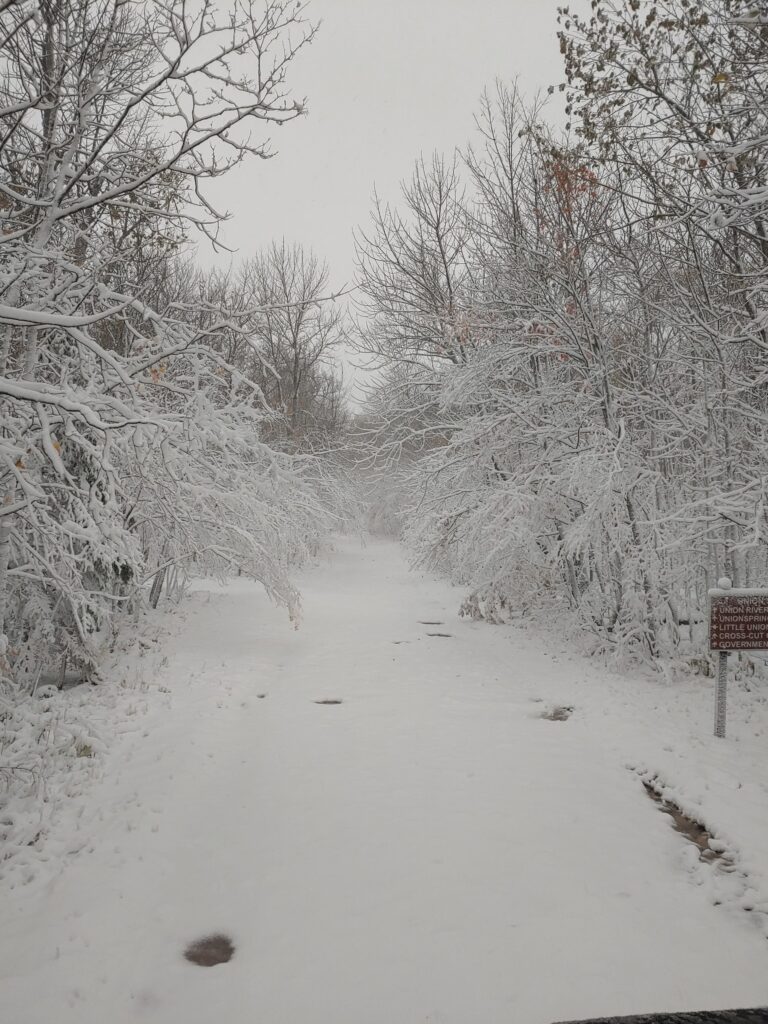 neve michigan midwest usa