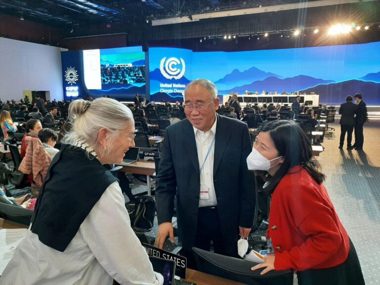 Xie Zhenhua COP27