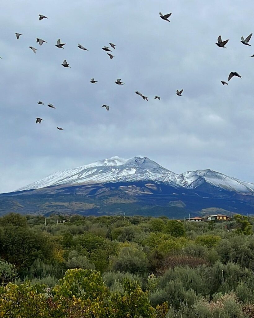 etna neve 5 novembre 2022