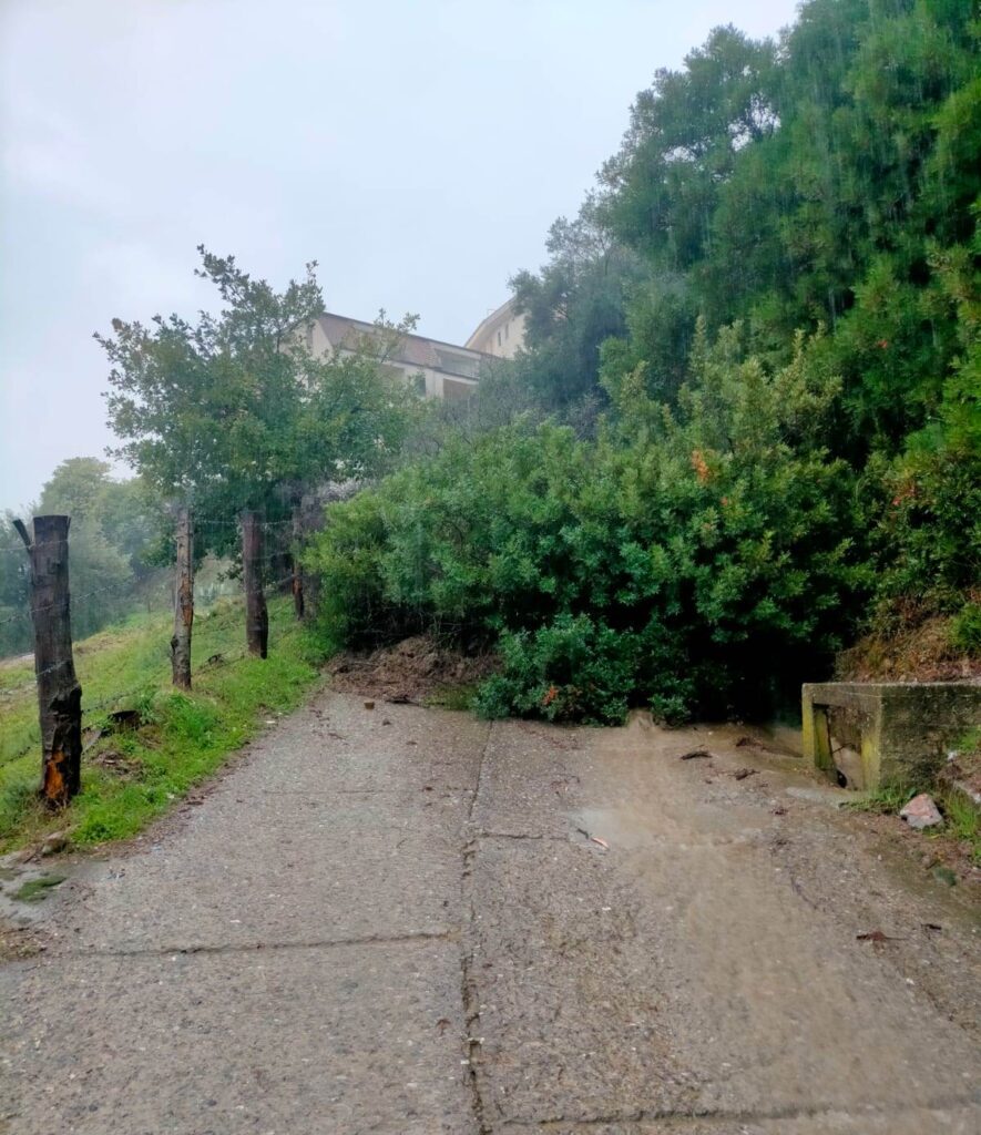 maltempo calabria oggi