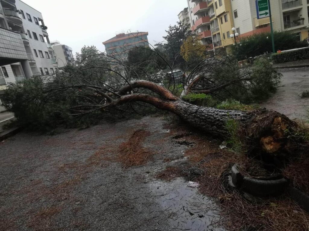 maltempo cosenza