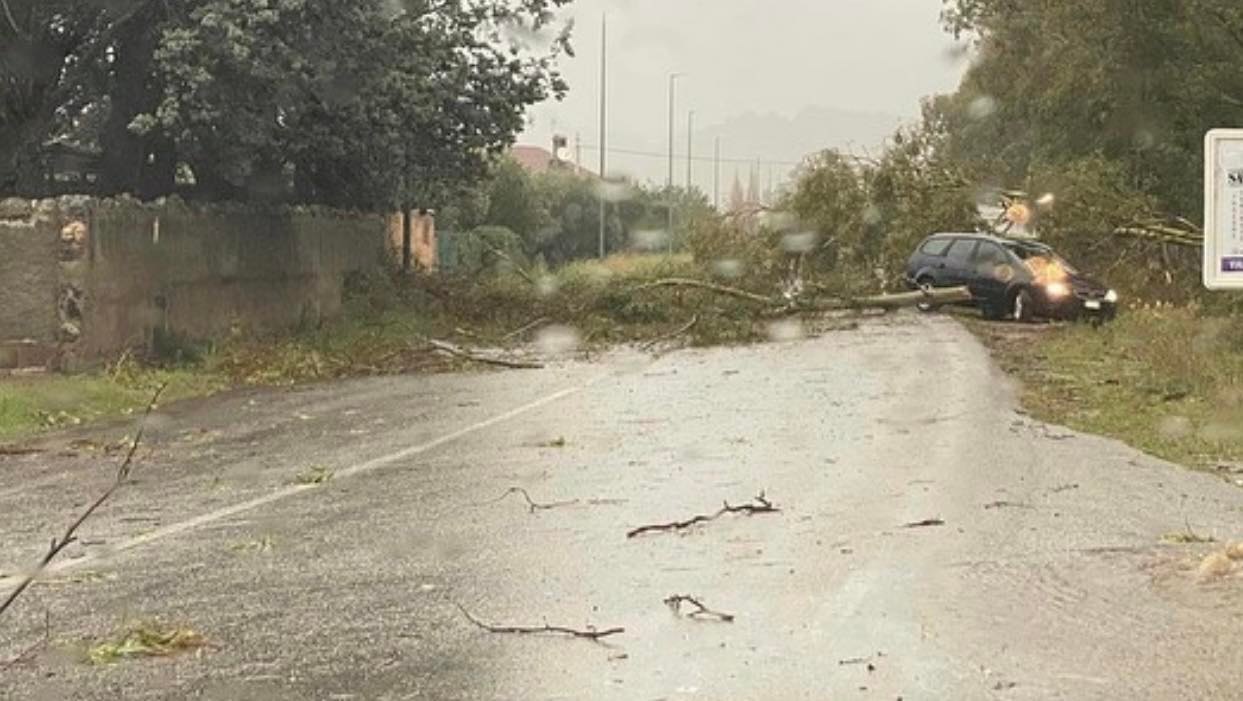 Maltempo Calabria In Ginocchio Downburst A Lamezia Nessun Morto Live