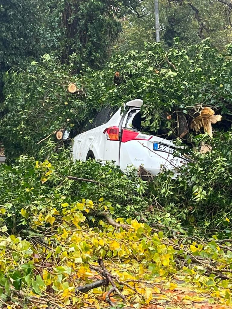 maltempo veneto ciclone denise