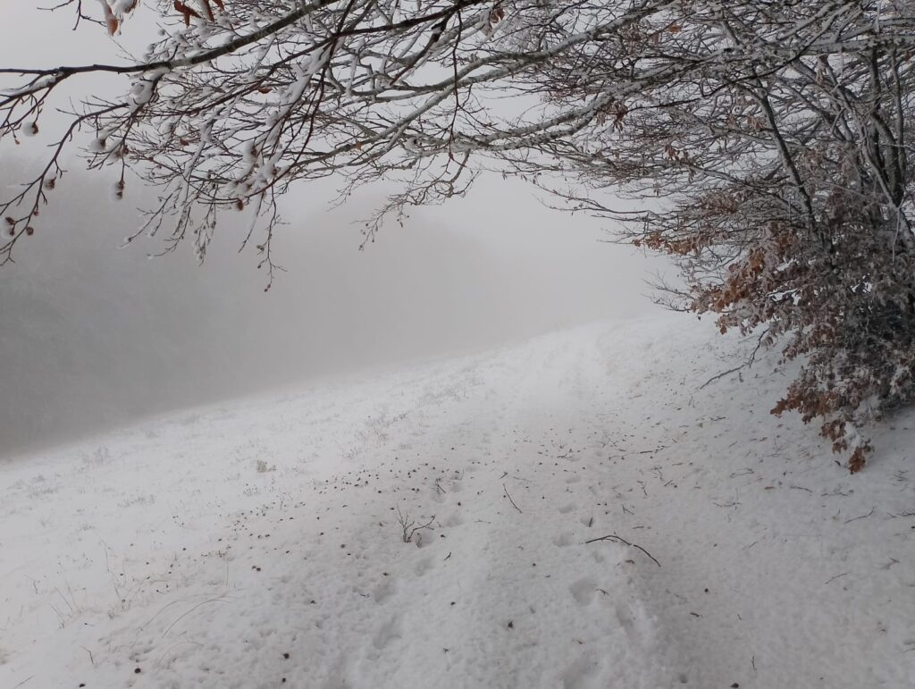 neve abruzzo