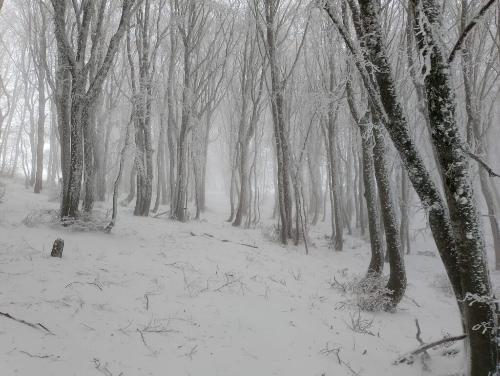 neve abruzzo