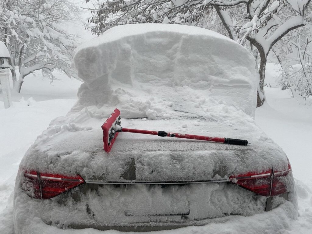 neve buffalo new york