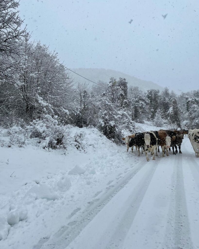 neve capracotta molise