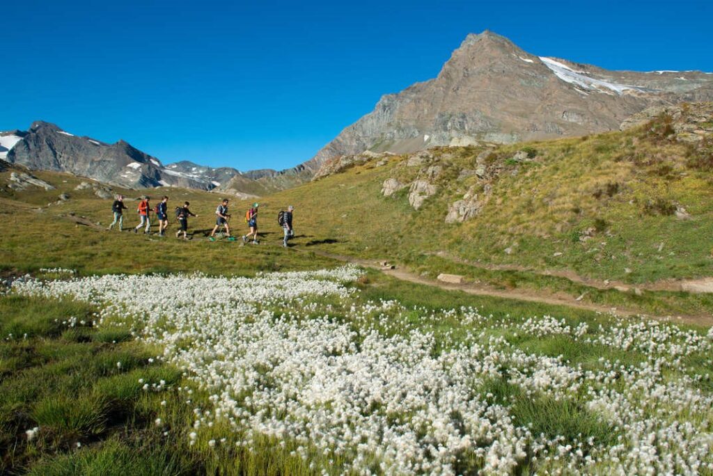 parco nazionale gran paradiso